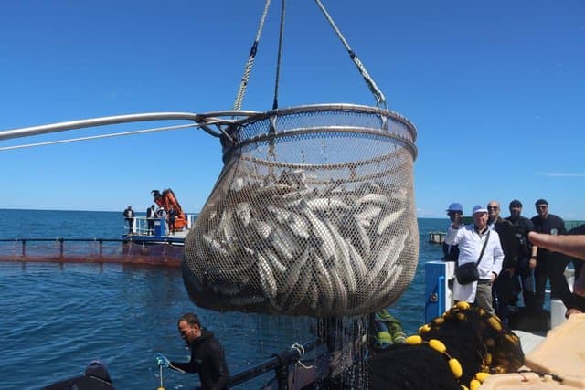 2026 Campaign for Red Tuna Fishing: Oualid Kicks Off