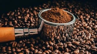 A New Step to Organize the Café and Roasters Market in Algeria