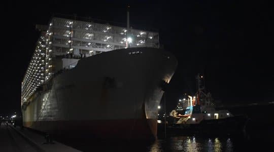 A ship docked at the Djendjen port carrying more than 81,000 sheep from Romania