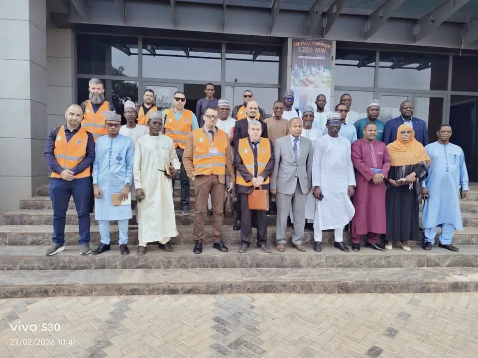 A technical team from SONELGAZ arrives in Niger to implement a power generation plant project