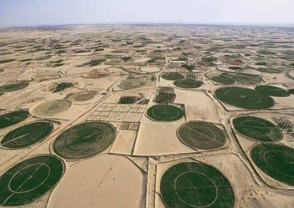 Adrar: A Promising Investment Hub in Strategic Agriculture