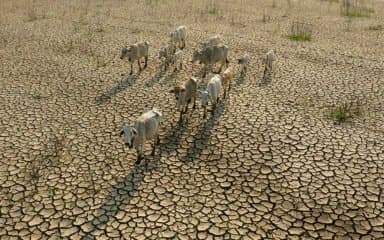 Africa: El Niño threatens to cut GDP by 2%