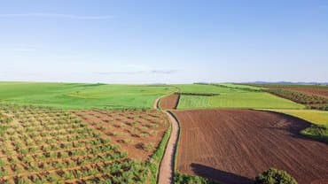 African agriculture: Proparco and Ecobank mobilize 352 million dollars
