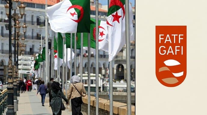 After Algeria's exit.. “FATF” includes Iraq and Bosnia in the gray list