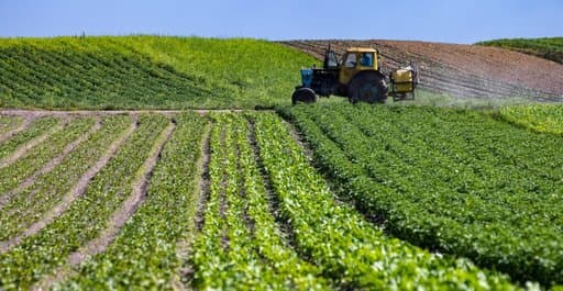 Agricultural Land: Efforts to Finalize Sanitation