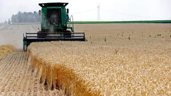 Agriculture: New Measure for the Grain Sector