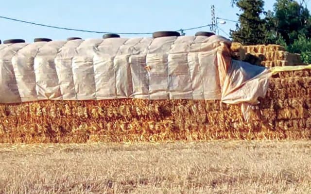 Agropastoral economy of the Steppe: Towards an approach to adapt to climate change