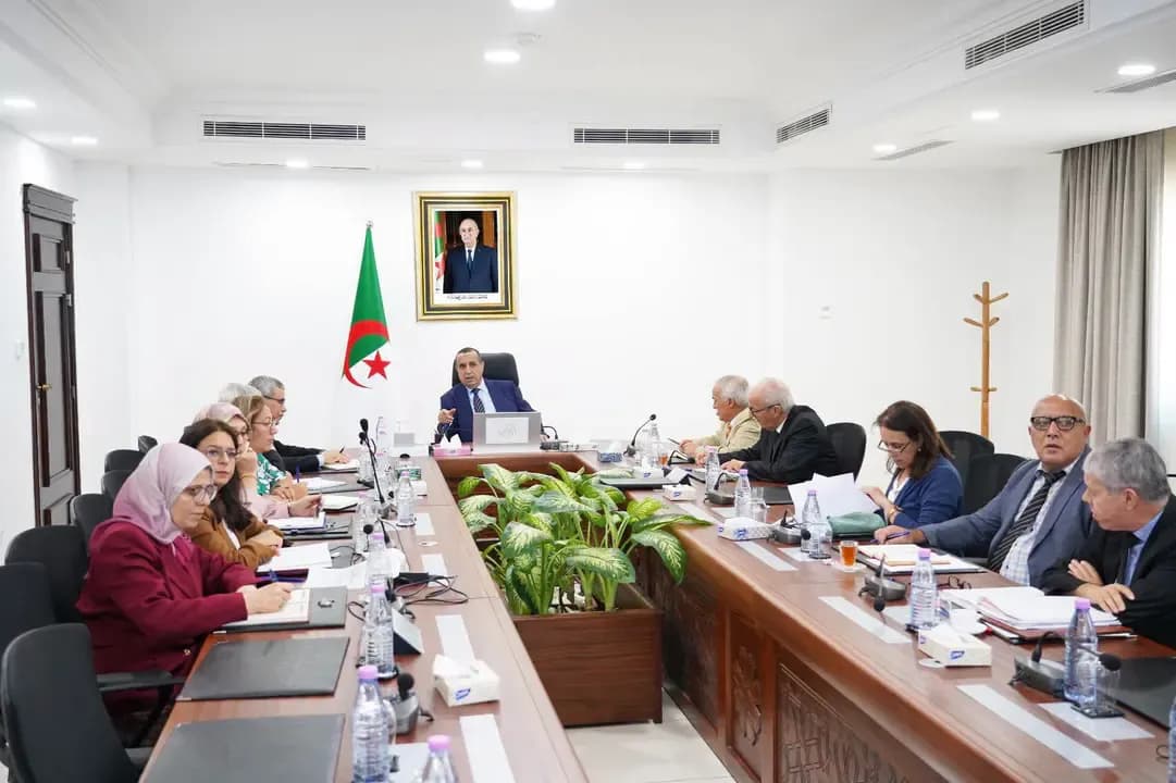 Ajjal chairs a meeting to follow up on accelerating electricity and solar energy projects in Niger