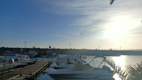 Al-Nuzha Ports Transform into Economic Attraction Hubs