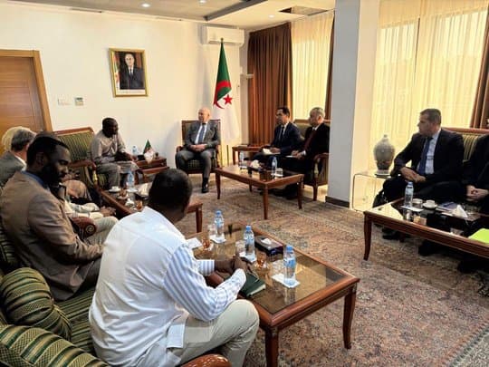 Algeria and Chad discuss accelerating the completion of a cement plant and expanding industrial cooperation