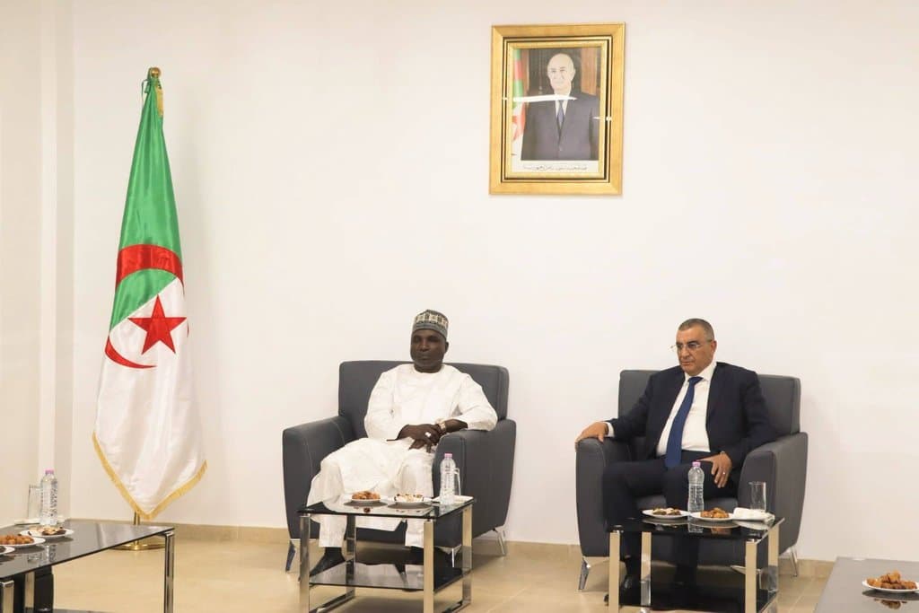 Algeria and Niger Strengthen Cooperation in Public Works and Skills Development