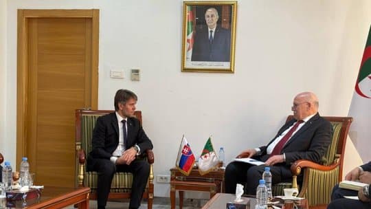 Algeria and Slovakia Discuss Developing Industrial and Investment Cooperation
