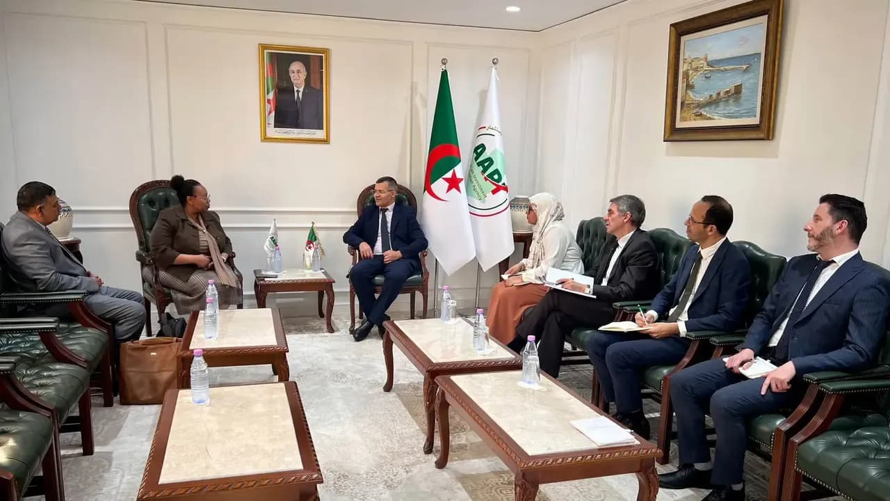 Algeria and South Africa Discuss Establishing Joint Investment Projects