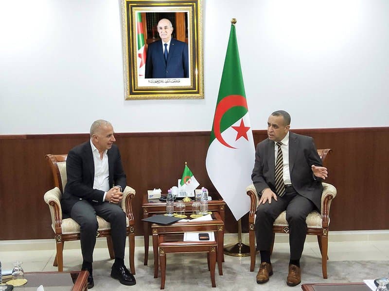 Algeria and 'Swedish Electric' Seek to Establish Power Stations in Several African Countries