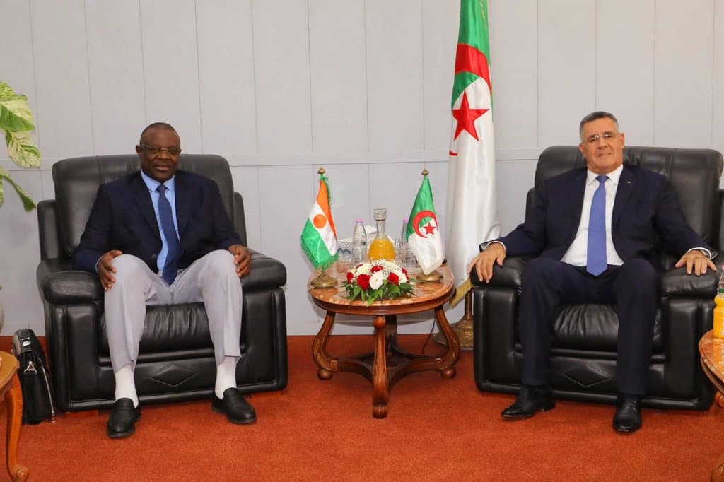 Algeria - Niger... Strengthening cooperation and exchanging experiences in water resource management - Iqtissad Al Balad