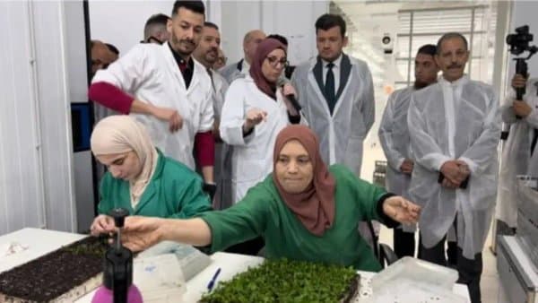 Algeria Raises the Challenge of Seed Production