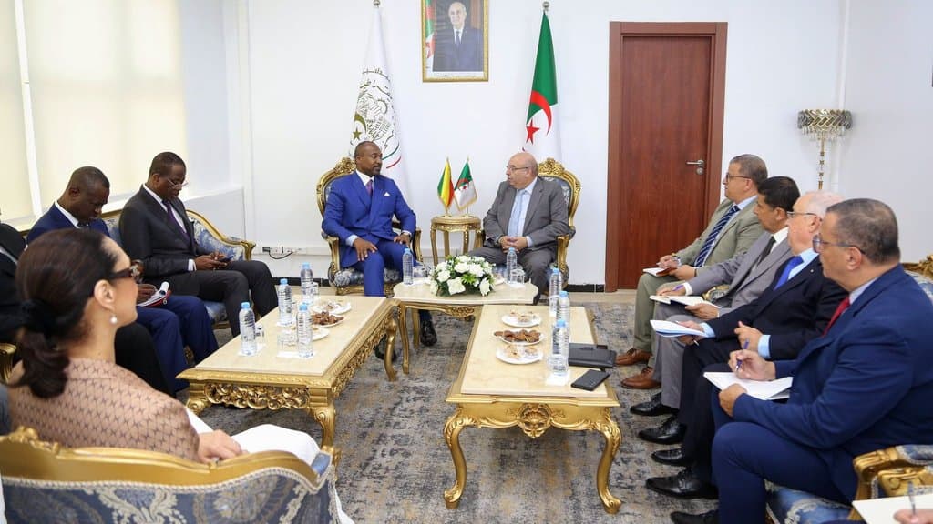 Algeria Showcases Its Pharmaceutical Expertise in Congo