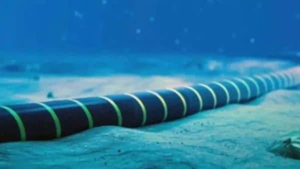 Algeria-Tunisia: New submarine cable under study