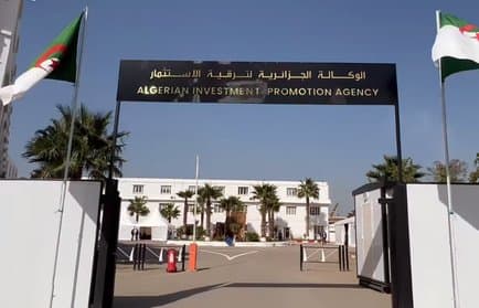 Algerian Agency for Investment Promotion: Over 21,000 Investment Projects Registered by the End of March