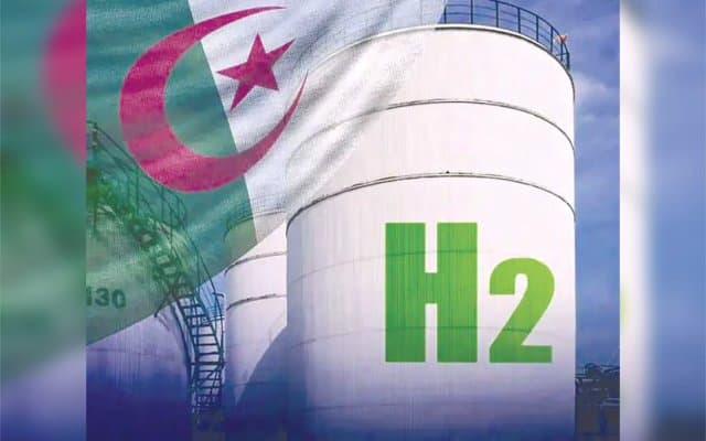 Algerian green hydrogen market: GIZ invites European investors