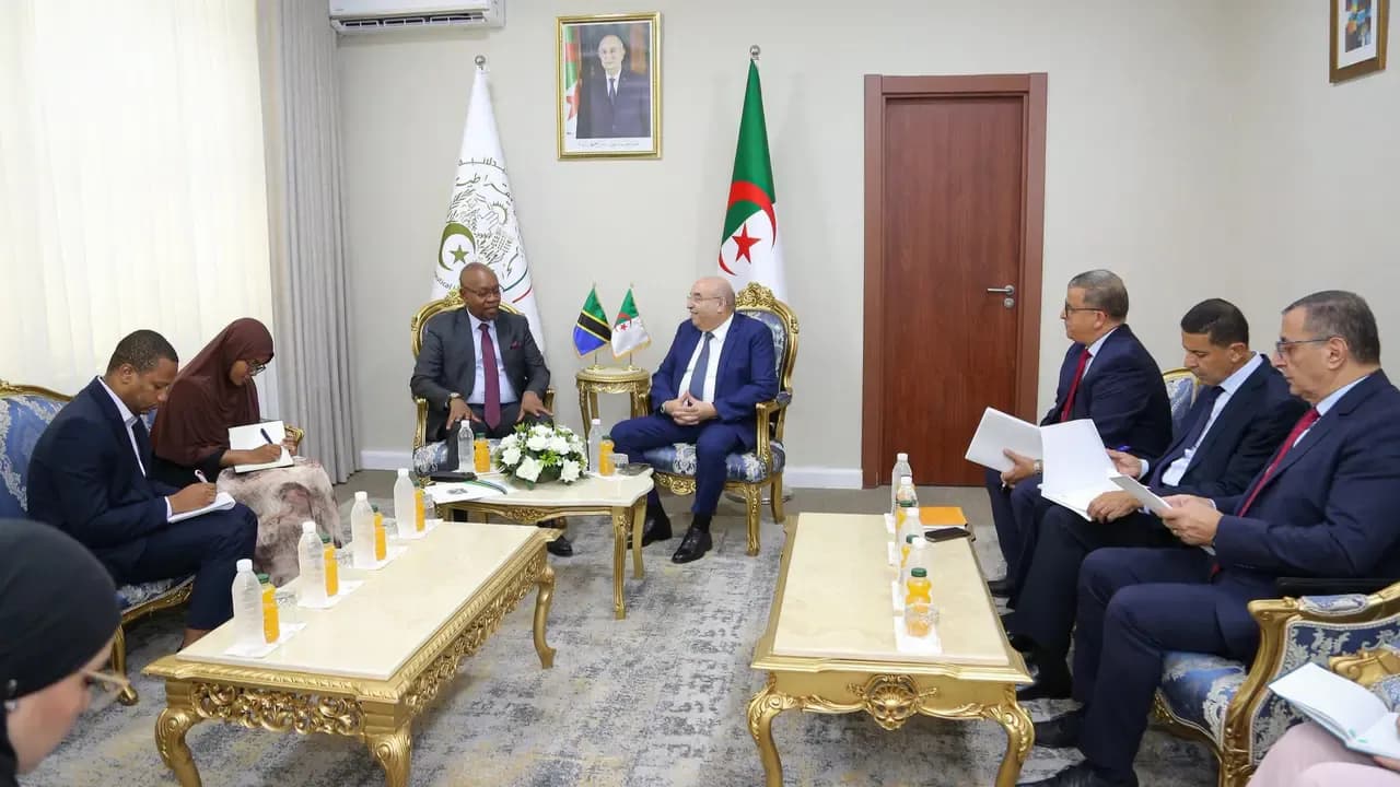 Algerian Medicines Targeting the Tanzanian Market
