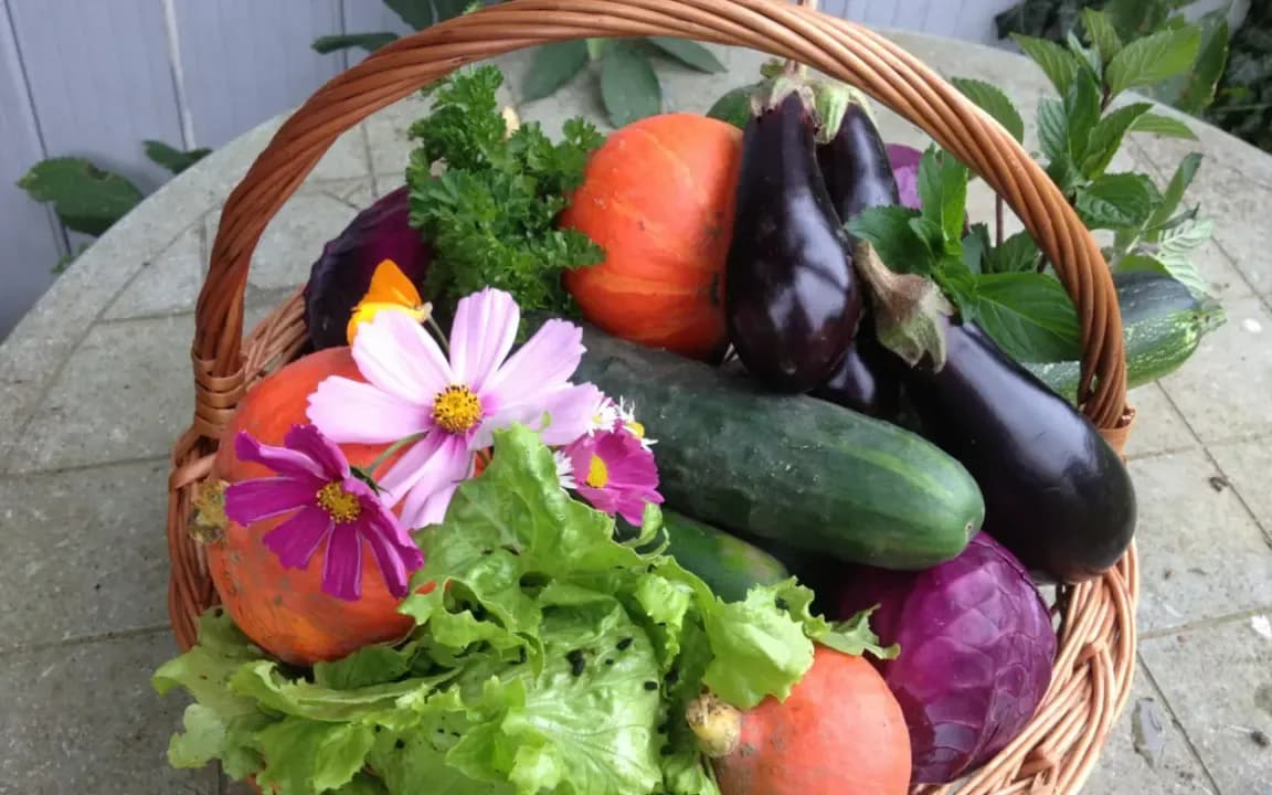 Algerian organic farming faces the challenge of standards