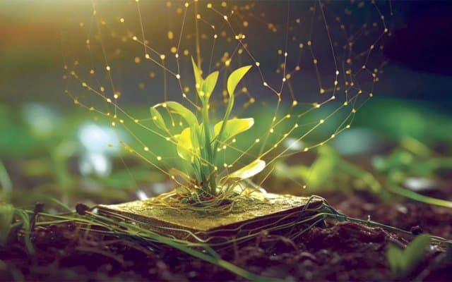 An information system has just been launched: Agriculture in the digital age