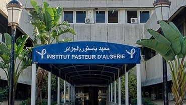 Appointment of the Pasteur Institute of Algeria as a Regional Center of Excellence in Biological Security and Biosafety for North Africa - Iqtissad Al Balad