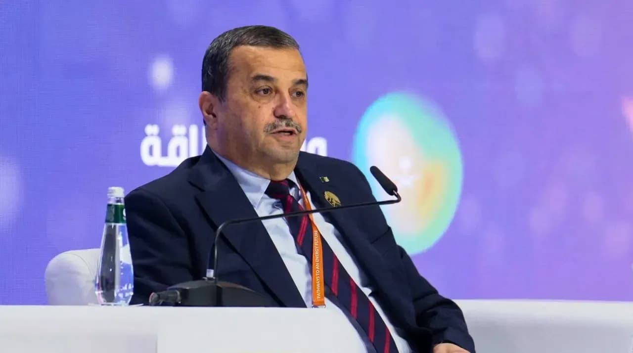 Arqab highlights Algeria's efforts to develop its resources and attract international investments