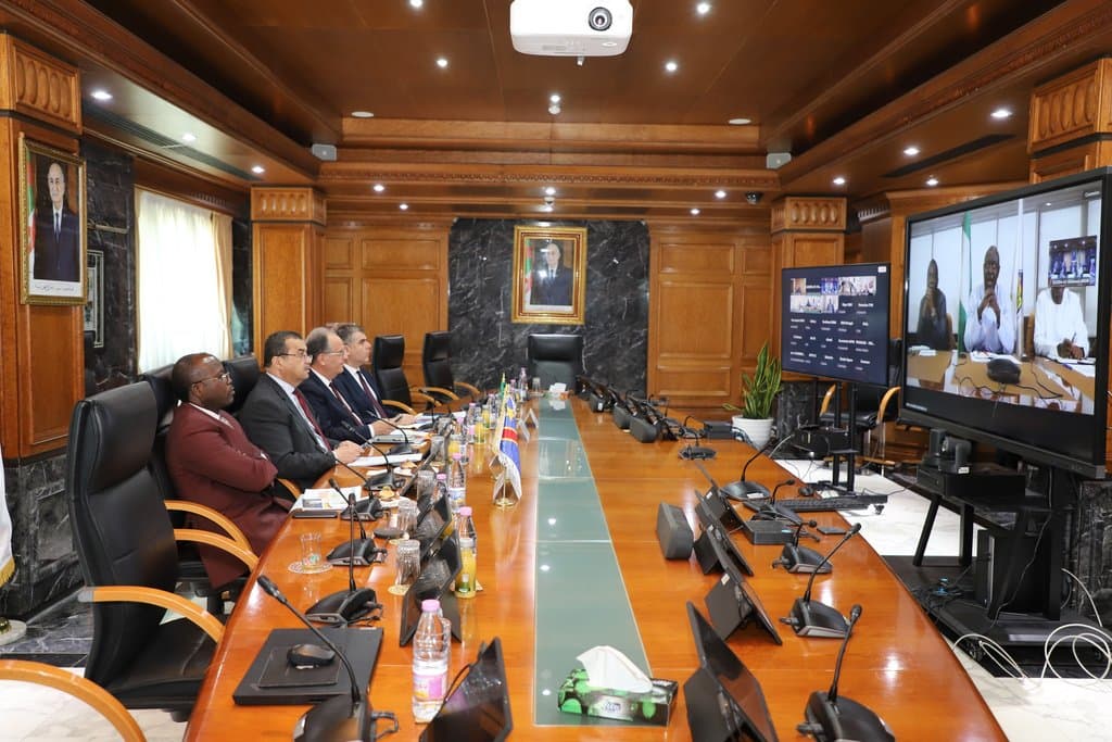 Arqab Participates in the 49th Extraordinary Ministerial Meeting of the African Organization of Oil-Producing Countries