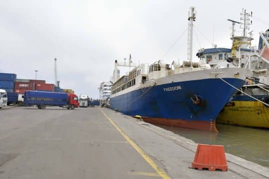 Arrival of a significant shipment of imported sheep in preparation for Eid al-Adha