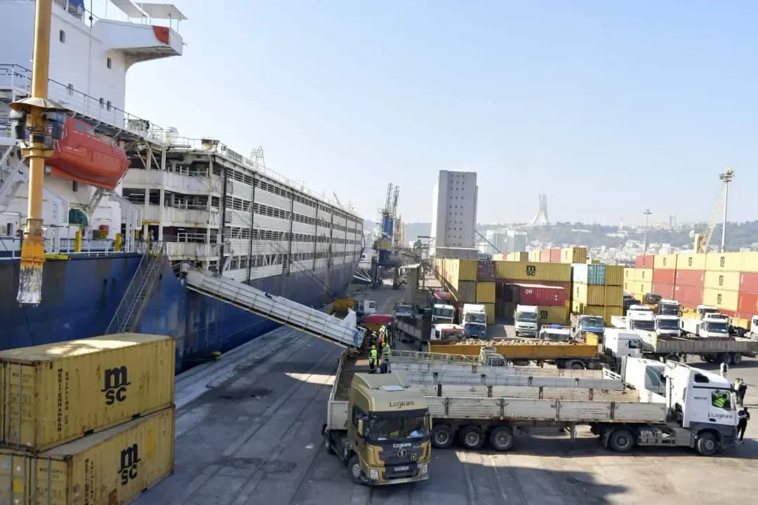 Arrival of two shipments of imported sheep in preparation for Eid al-Adha