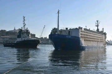 Arrival of two ships carrying more than 36,000 heads of sheep from Spain - Iqtissad Al Balad