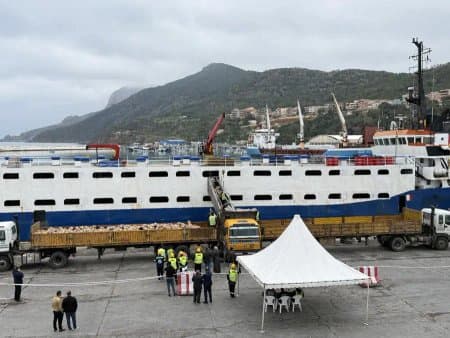 Arriving from Spain.. Port of Tenes receives fourth shipment loaded with 16,250 heads of sheep
