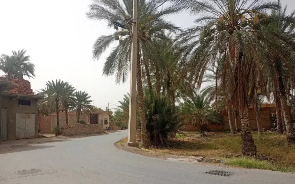 Bordj Ben Azzouz (Biskra): The choice of economic performance