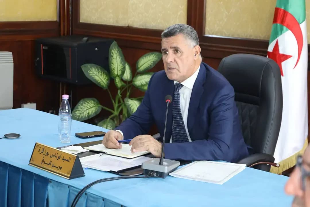 Bouzegza Issues Instructions to Accelerate the Implementation of Sector Projects