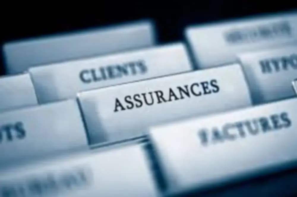 Call for the establishment of a national organization for insurance experts to regulate and modernize the profession