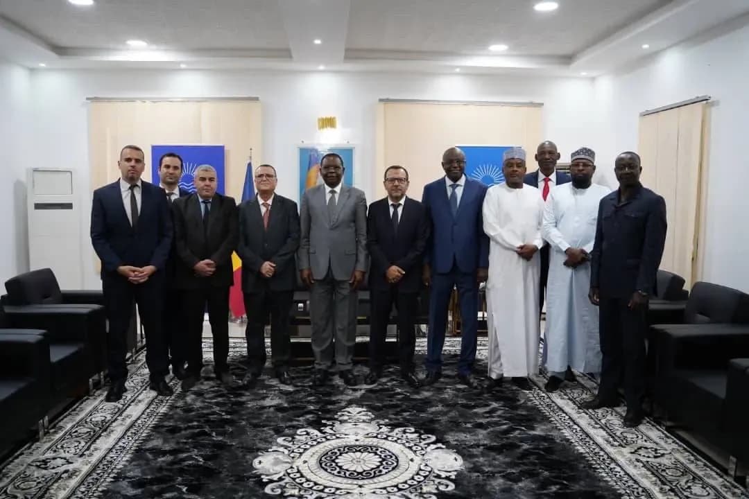 Chadian Prime Minister Receives SONELGAZ Delegation to Discuss Launching 40 MW Power Plant Project