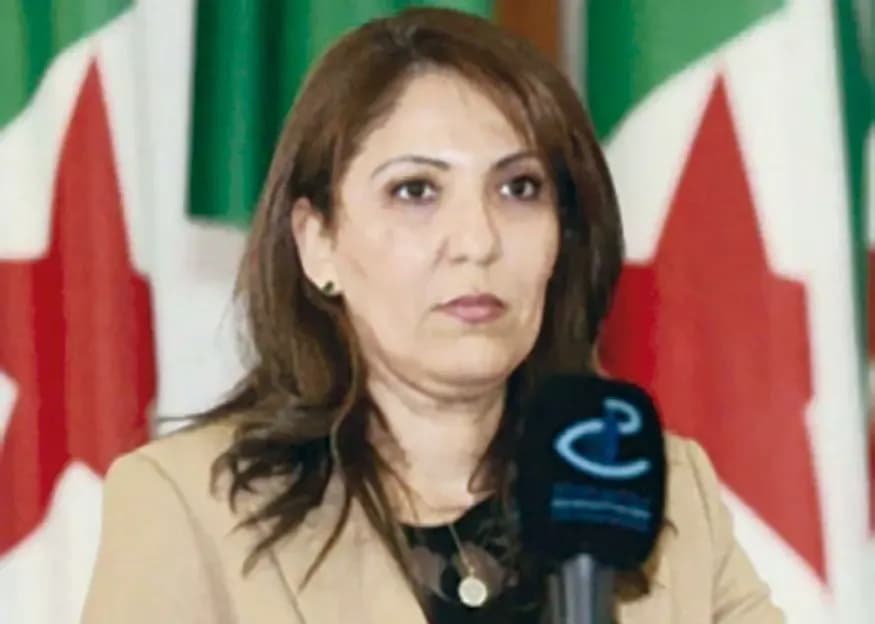 Chahrazed Saadi, president of SEVE: 'Allowing female entrepreneurs better structuring'