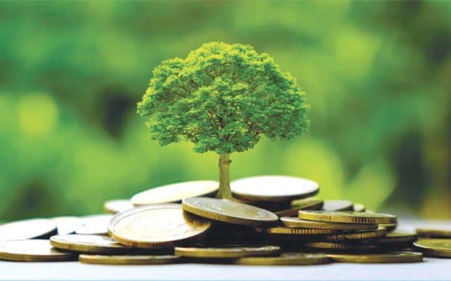 Climate finance: How Algeria can better mobilize the billions of dollars available for climate