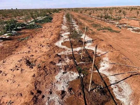Climate: The challenge of 24 billion dollars and the support of the UN