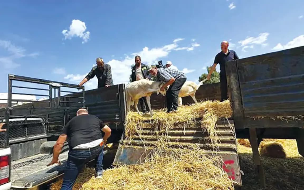 Compensation for victims: Béjaïa completes the operation