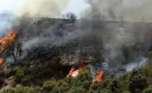 Completion of 98 percent of the census of farmers affected by the recent fires