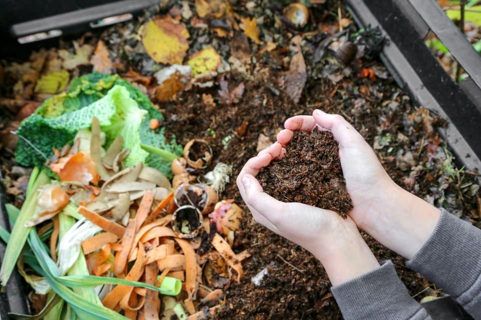 Compost: the circular economy that can create thousands of jobs