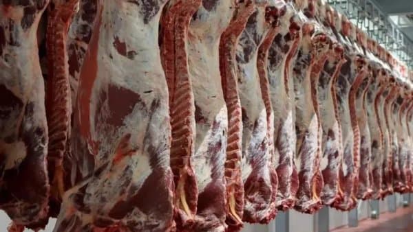 Comprehensive plan to regulate the market during Ramadan