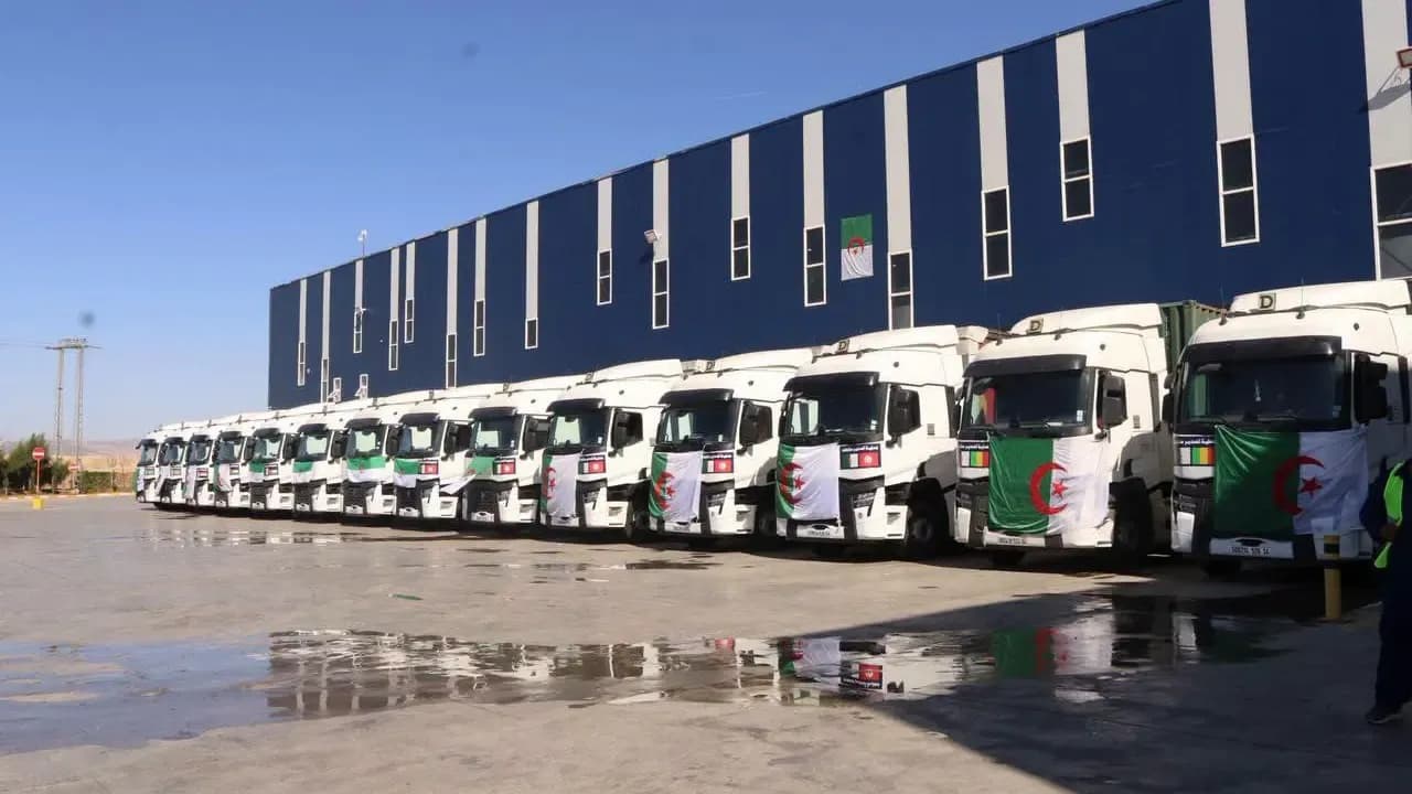 Condor exports 37 containers of electrical household products to 6 international markets