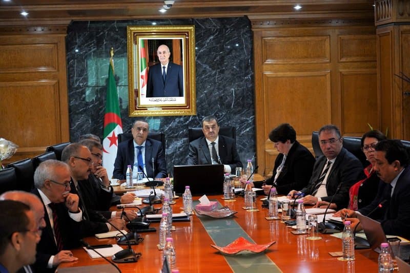 Coordinating Meeting Between the Ministries of Hydrocarbons and Energy to Follow Up on Major Projects