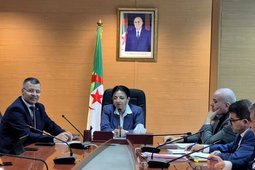 Coordination Meeting on Investment Projects in National Market Supply