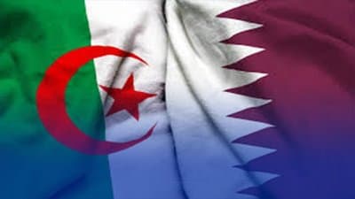 Cross-Border Strategic Partnership: Algeria and Qatar Accelerate the 'Belara' and 'Baladna' Initiatives to Enhance Industrial and Food Sovereignty