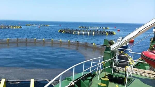 Customs and tax exemptions to support the aquaculture sector